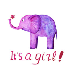 cute elephant with a flower and the inscription it's a girl