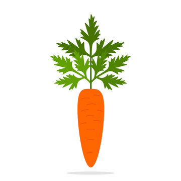 Icon of carrot with herbs in a flat style. vector illustration
