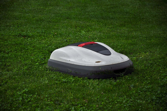 Rasenm&auml;hroboter m&auml;ht auf gr&uuml;ner Wiese