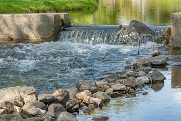 Obraz premium Heron scratching an itch while fishing in the park landscape
