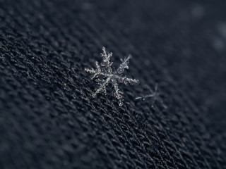 Snowflake beautiful on the grey winter background