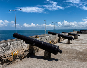 cannon in fortress