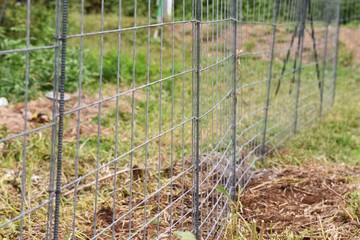  Installation of a fence to prevent wild boar invasion in the vegetable garden.