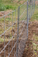  Installation of a fence to prevent wild boar invasion in the vegetable garden.