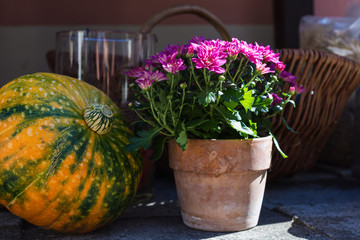 flower pot in german garden restaurant