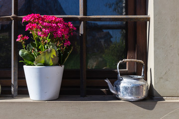 flower pot in german garden restaurant