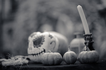 Pumpkins on background of painted pumpkin for day of dead and Halloween. Autumn background