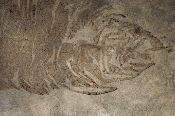 fossil shape texture