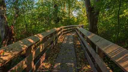 Boardwalk bridge on trail at Deer Lake Park - early Fall