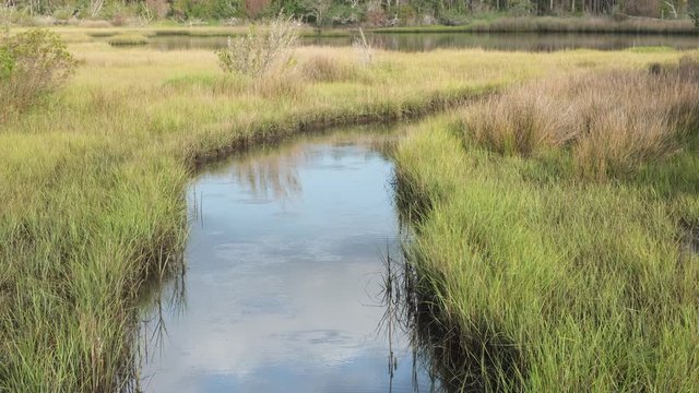 nature trail walkway through a spartina grass marsh near Topsail Beach, North Carolina. Spartina Marches protect the mainland from damage by ocean storms and hurricanes.