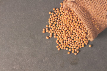 Fresh an raw soy beans in rustic fabric bag on gray background ..