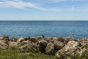Fototapeta na wymiar Beautiful nature landscape view. Rocky coast line. Blue water surface of Atlantic ocean merging with blue sky. Key West, Florida. 