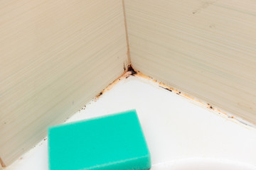 Mold fungus and rust growing in tile joints in damp poorly ventilated bathroom with high humidity,...