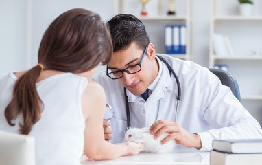 Fototapeta premium The woman with pet rabbit visiting vet doctor