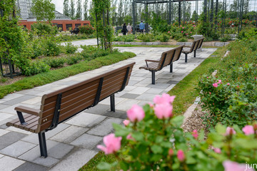 Obraz premium benches