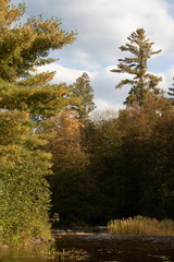 View of autumn forest from the kayak on a river