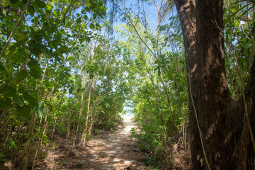 グアム_ドライブ_リティディアンビーチ