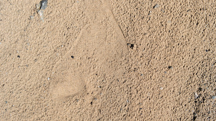 Sand texture, background. Grunge sand background.