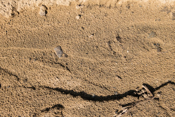 Abstract sand background. Sand texture. Grunge sand.