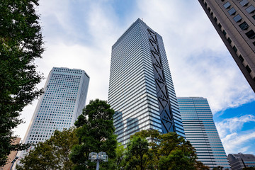 Fototapeta premium 東京新宿の高層ビル群の風景