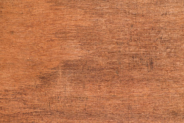 decay wood, background