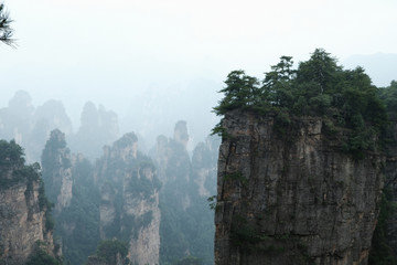 Fototapeta na wymiar Montañas Zhangjiajie 
