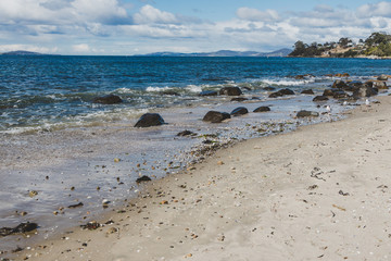 Fototapeta na wymiar rugged and beautiful little beach in Tasmania Australia in the area of Taroona near Hobart