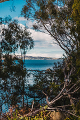 Fototapeta na wymiar rugged and beautiful little beach in Tasmania Australia in the area of Taroona near Hobart