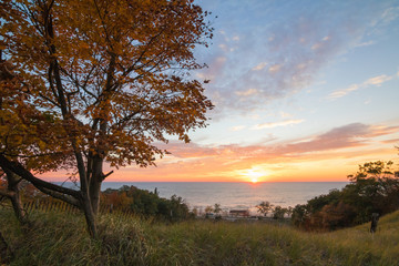 Fototapeta premium fall tree in sunset by lake