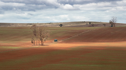 Fototapeta na wymiar Red soil field waiting for planting with sunlit trees