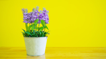 Violet flower with green leaves ( Artificial Flowers) In the pot, Placed on the floor and walls in bright yellow.