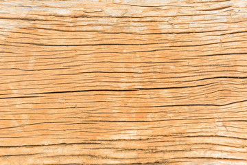 pattern of decay wood