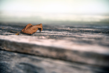 The texture of the old wood, selective focus, blur some part