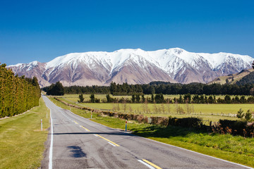 Mt Hutt View on a Sunny Day in New Zealand