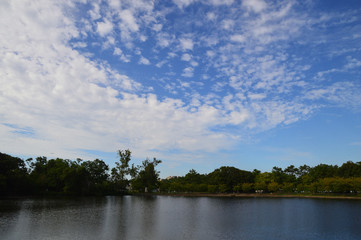 池の上空にひつじ雲が浮かぶ秋の風景