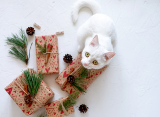 White kitten with Christmas Gifts On White Background