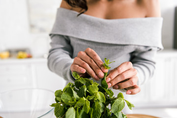 cropped view of woman touching fresh peppermint leaves