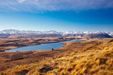 Mt John Walkway Lake Tekapo on a Sunny Day in New Zealand