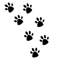 Fototapeta premium hand drawn doodle of animal footprint with cartoon style vector