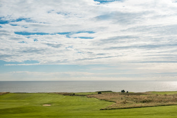 Obraz premium View of green field next to the sea