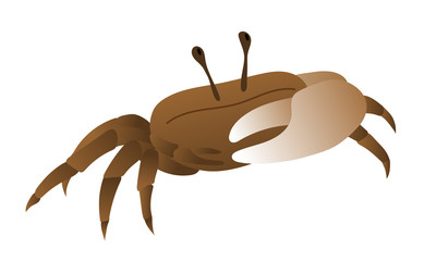 Cute illustration of fiddler crab