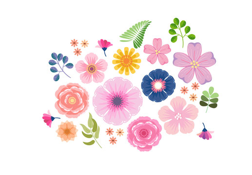 Naklejki colorful floral flower blooming vector