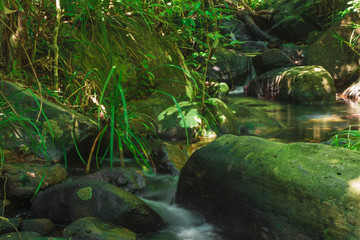 Beautiful mountain stream flow through abundant forests in rainforest of Koh yao yai,Phang Nga,Thailand