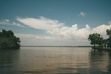 Birds on lagoon