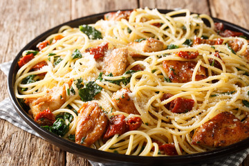 Pasta with dried tomatoes, chicken, parmesan and spinach close-up on a plate. horizontal