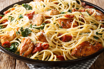 Traditional spaghetti with dried tomatoes, chicken, cheese and spinach close-up on a plate. horizontal