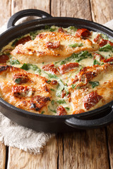 Baked chicken fillet in a creamy sauce with sun-dried tomatoes and spinach close-up in a pan. vertical