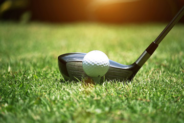 golf club and golf ball close up in grass field with sunset. Golf ball close up in golf coures
