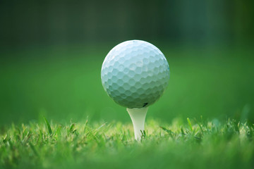 Golf ball on tee in the evening golf course with sunshine in thailand