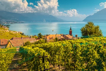 Foto op Canvas Beautiful vineyards in Lavaux region near Chexbres, Vaud, Switzerland © janoka82